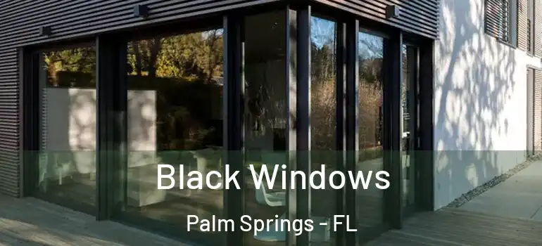 Black Windows Palm Springs - FL