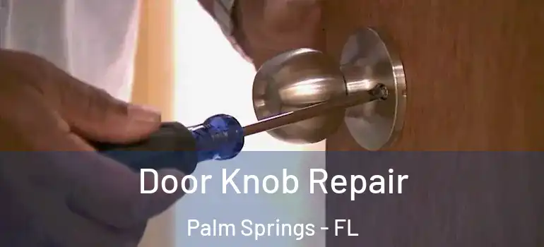 Door Knob Repair Palm Springs - FL