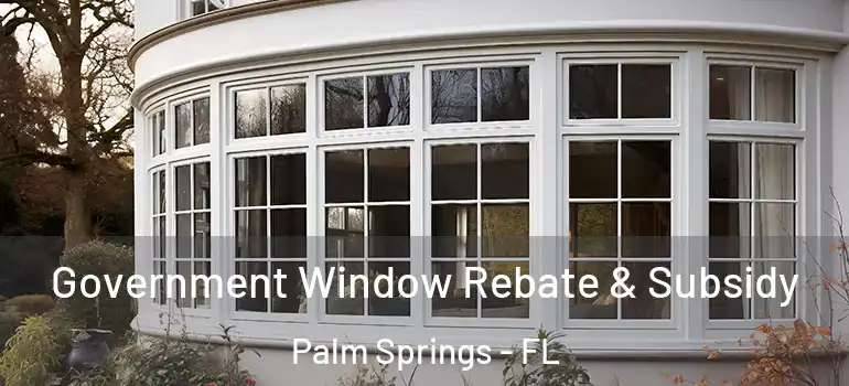 Government Window Rebate & Subsidy Palm Springs - FL