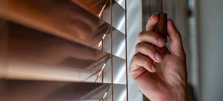 Double Roller Blinds in Palm Springs, FL