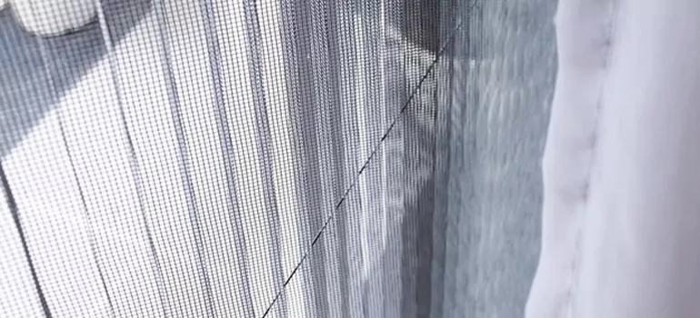 Fixing Screen Window Mesh in Palm Springs, FL