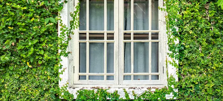 Garden Window Repair Near Me in Palm Springs, FL