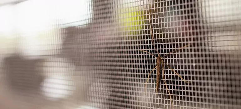 Repair Mosquito Mesh For Windows in Palm Springs, FL