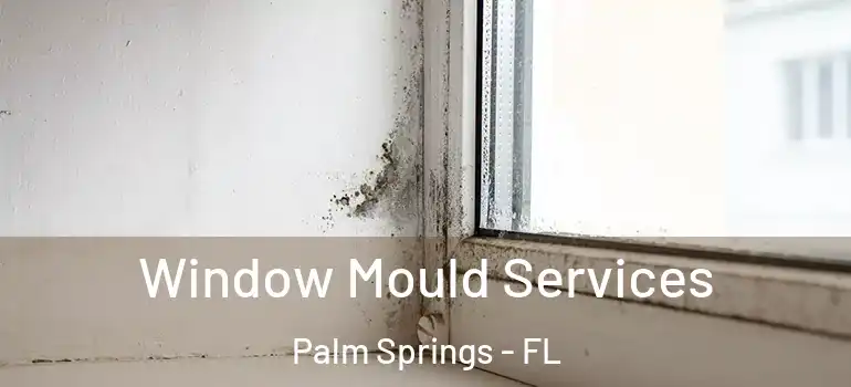 Window Mould Services Palm Springs - FL