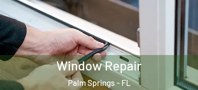 Window Repair Palm Springs - FL